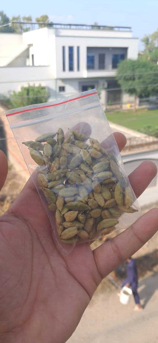 Green Cardmom ( Choti Elaichi)