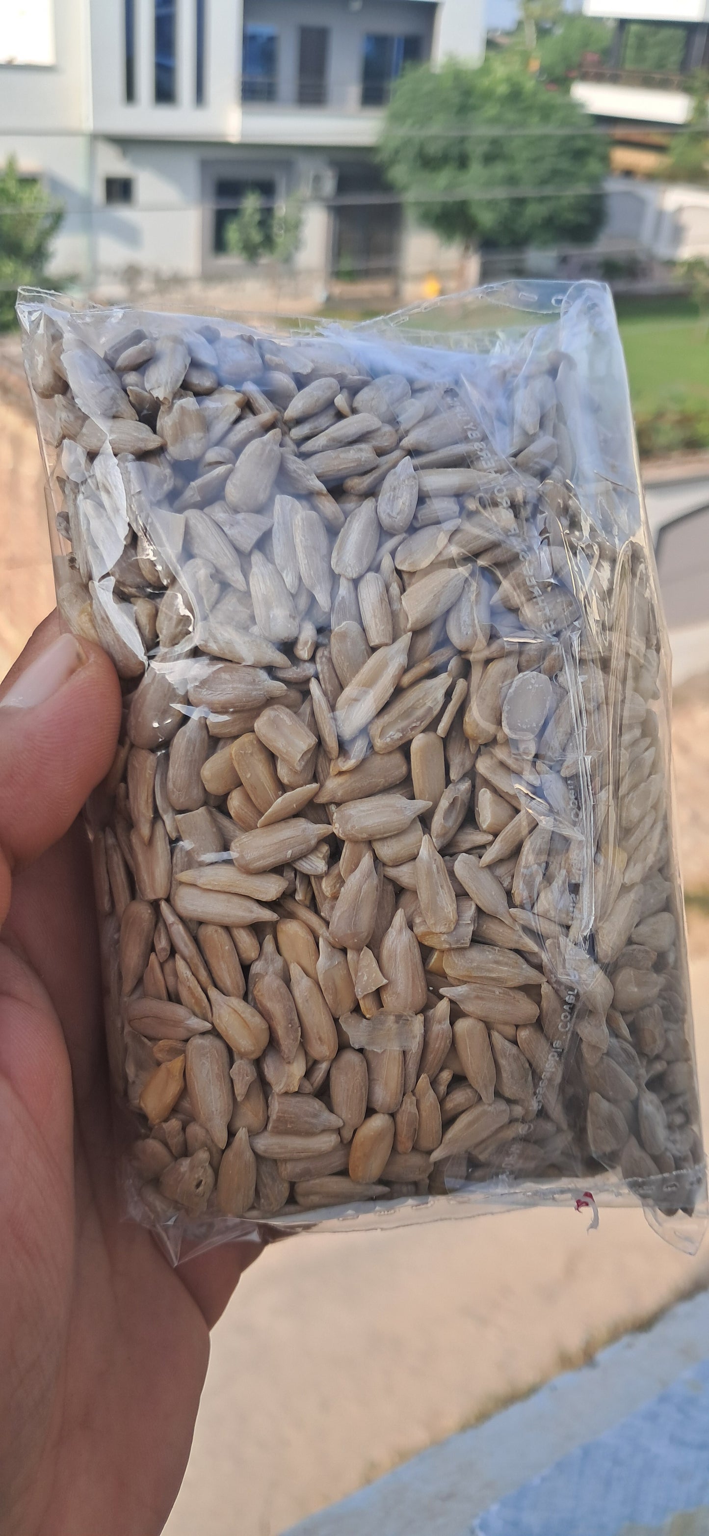 سورج مکھی کے بیج چھلے ہوئے