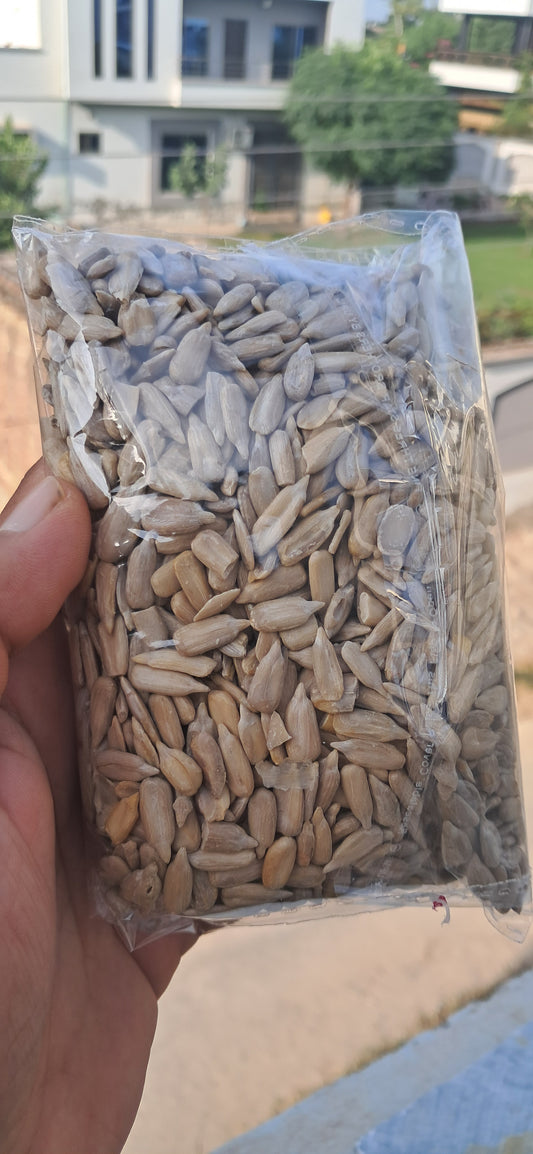 Sunflower Seed
